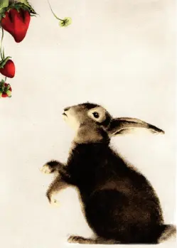 Brown Bunny Staring at Strawberries