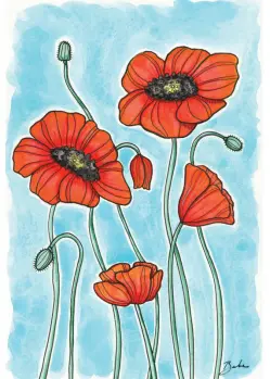 Poppy Flower Card