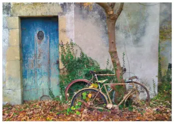 Jim Brandenburg - Bicycle