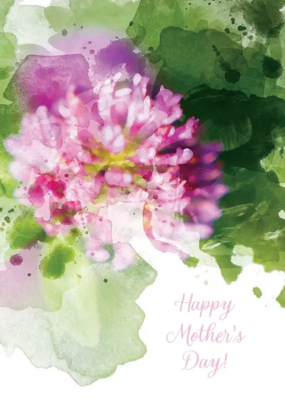Watercolor Painting of a Pink Flower