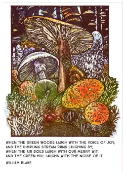 The Kenspeckle Letterpress - Mushroom Party