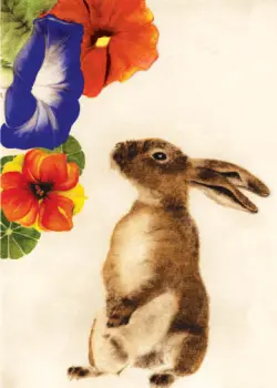 Brown Bunny Staring at Morning Glory Flowers