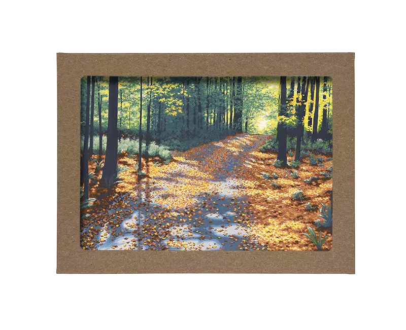 Woodland Stream; Spring Blossom; Spring Pond; Grandma's Lane