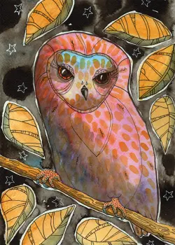 Owl at Night
