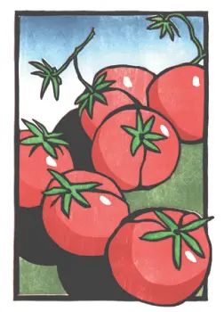 CWN009_2