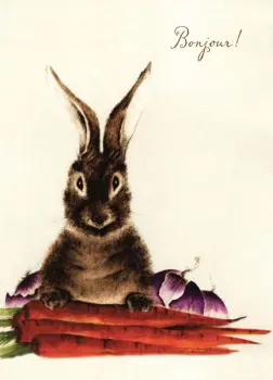 Brown Bunny with Carrots and Onions "Bonjour!"