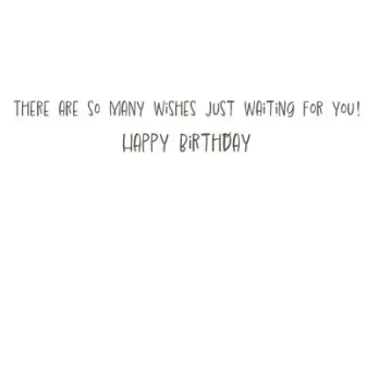 Little Raven's Big Wish