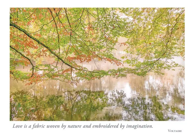 Jim Brandenburg - Beautiful Scenery at the Lake