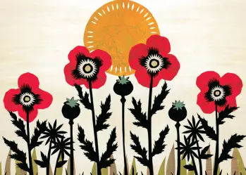 Red Poppy Flowers and Orange Sun