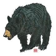 SNW002