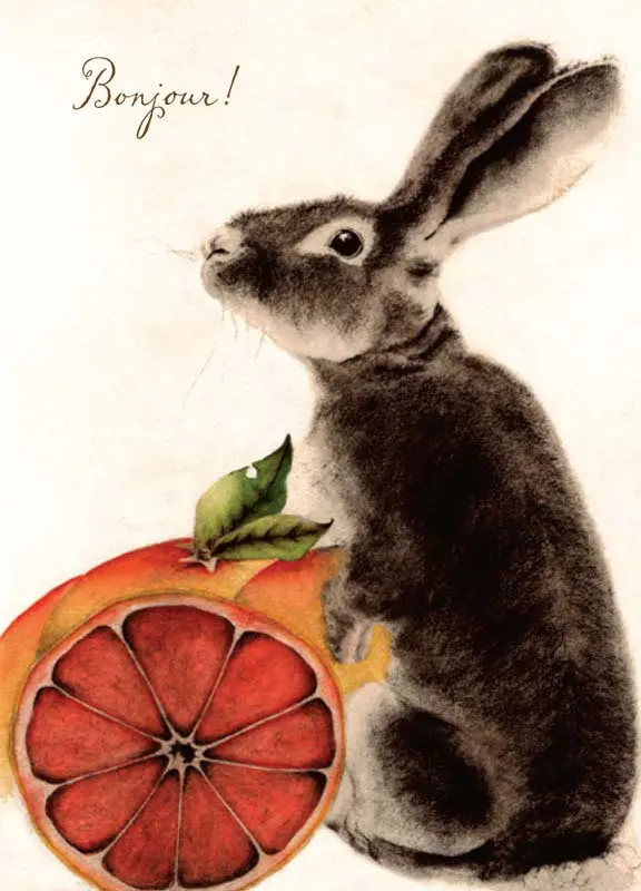 Grey Bunny with Grapefruit