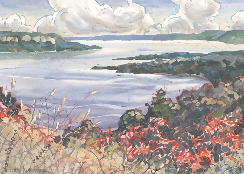 View From the Top of a Hill Looking Down at Water, and Forest, and Flowers