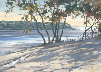 Beach with trees and Driftwood, and a Peninsula in the Distance