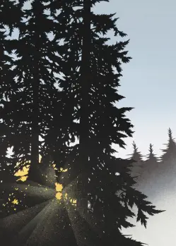 Sunset peaking through misty trees