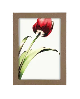 Box of Colorful Flower Cards