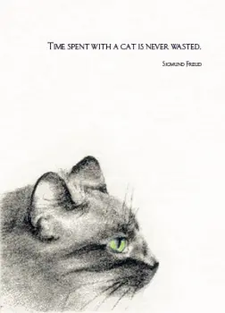 Grey Cat with Green Eyes "Time Spent with a Cat is Never Wasted - Sigmund Freud"