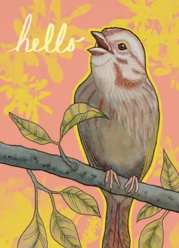 Hello, Pink Parrot, HI., Peacock