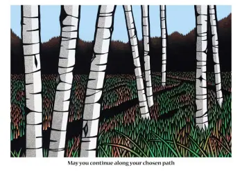 Birch tree forest