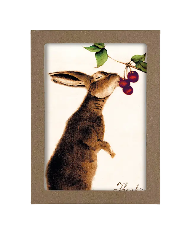 Box of Brown Bunny with Different Plants