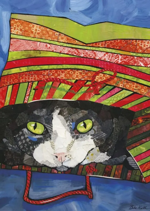 Black and White Cat with a Yellow and Red Gift Bag on Its' Head