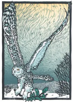 HC009
