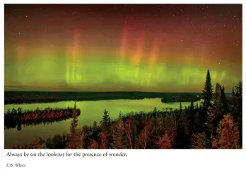 Aurora Borealis - Moose Lake