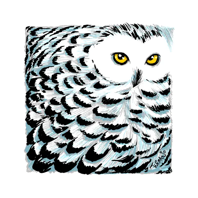 Stickers - Vinyl - Adam Turman