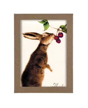 Box of Brown Bunny with Different Plants