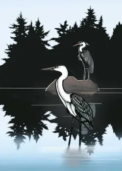 Two cranes standing in water surrounded by trees