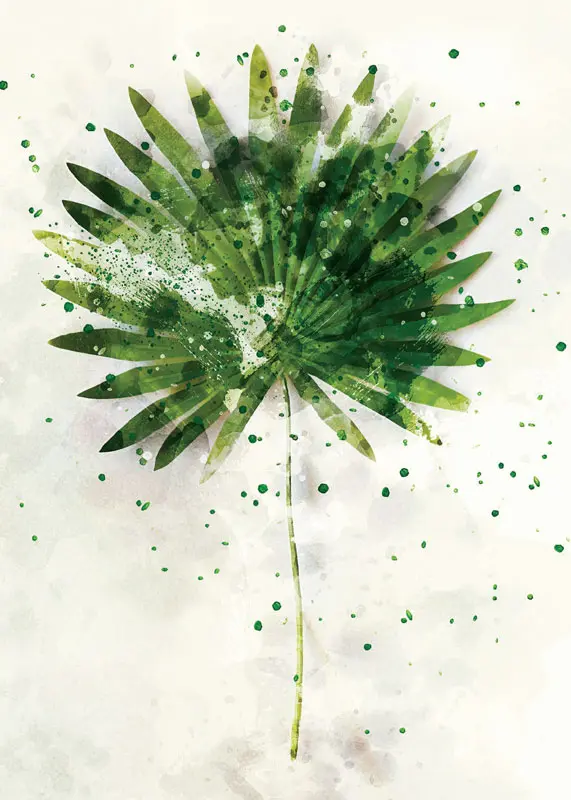Watercolor of a Green Leaf
