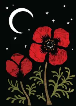 Red Poppy Flowers under Night Sky