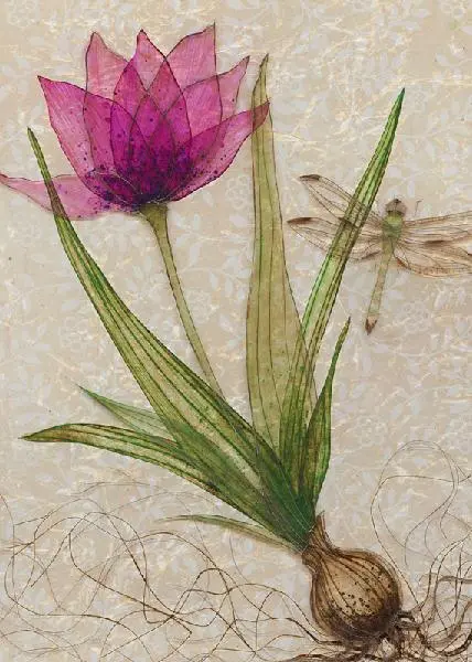 Karen Sikie - Floral Boxed Cards