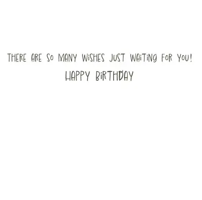 Little Raven's Big Wish