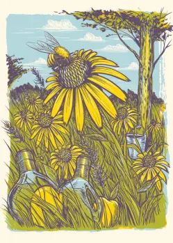 Honey bee on flower in field of flowers