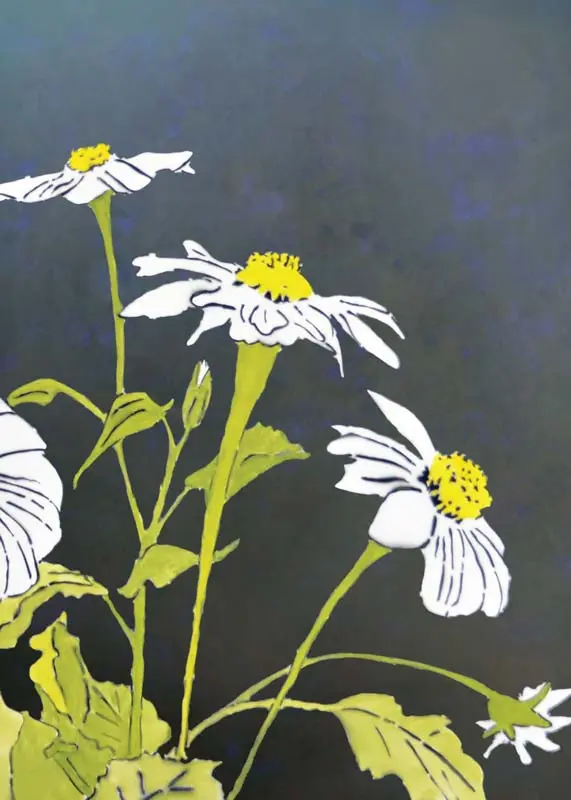 White daisies on black background