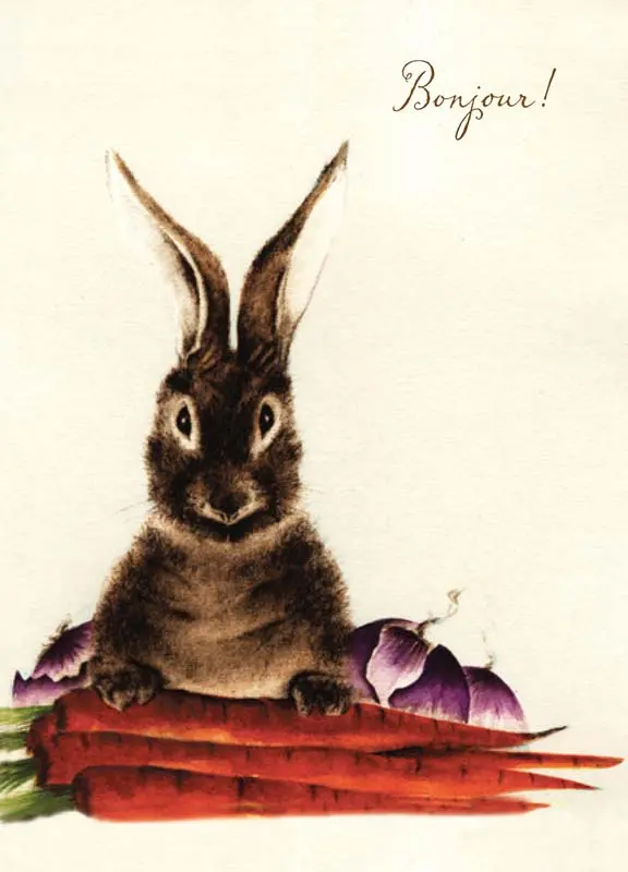 Brown Bunny with Carrots and Onions