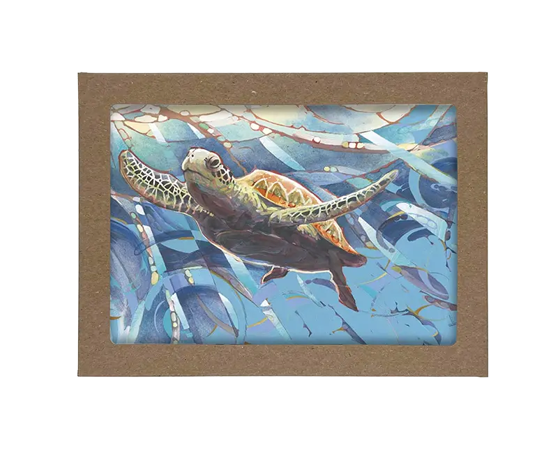 Water Themed Boxed Cards