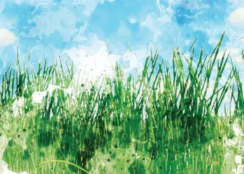 Watercolor of Green Grass and a Blue Sky