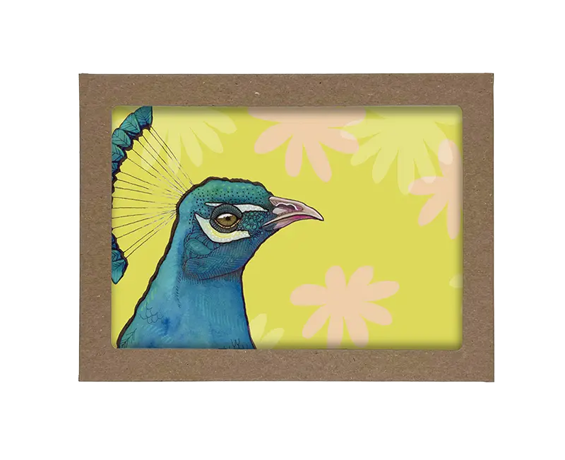 Hello, Pink Parrot, HI., Peacock