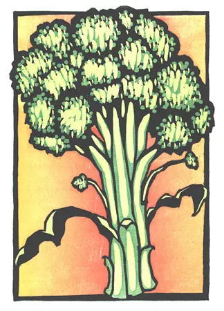 CWN009_4